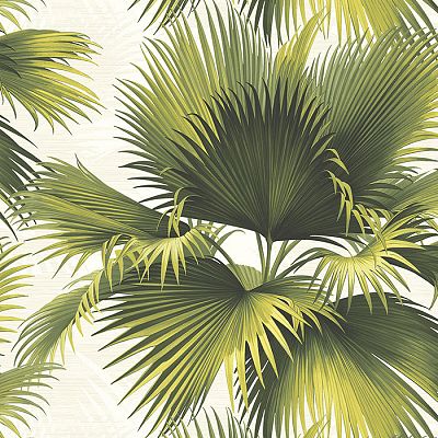 Пальмовые листья — природная роскошь! 